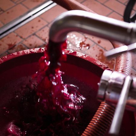 Willa I Dolci Grappoli Larino Zewnętrze zdjęcie